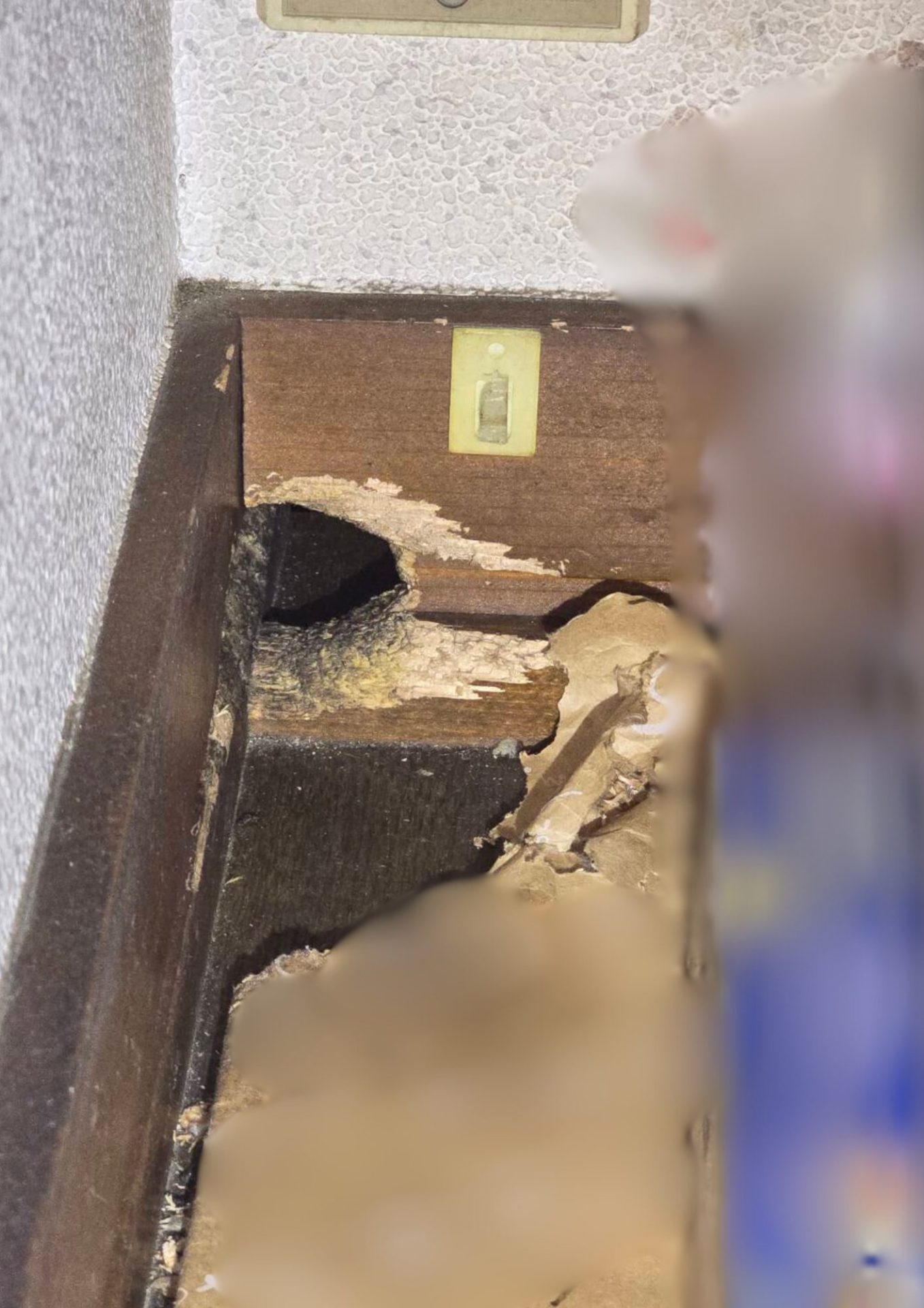 ねずみがあけた大きな穴