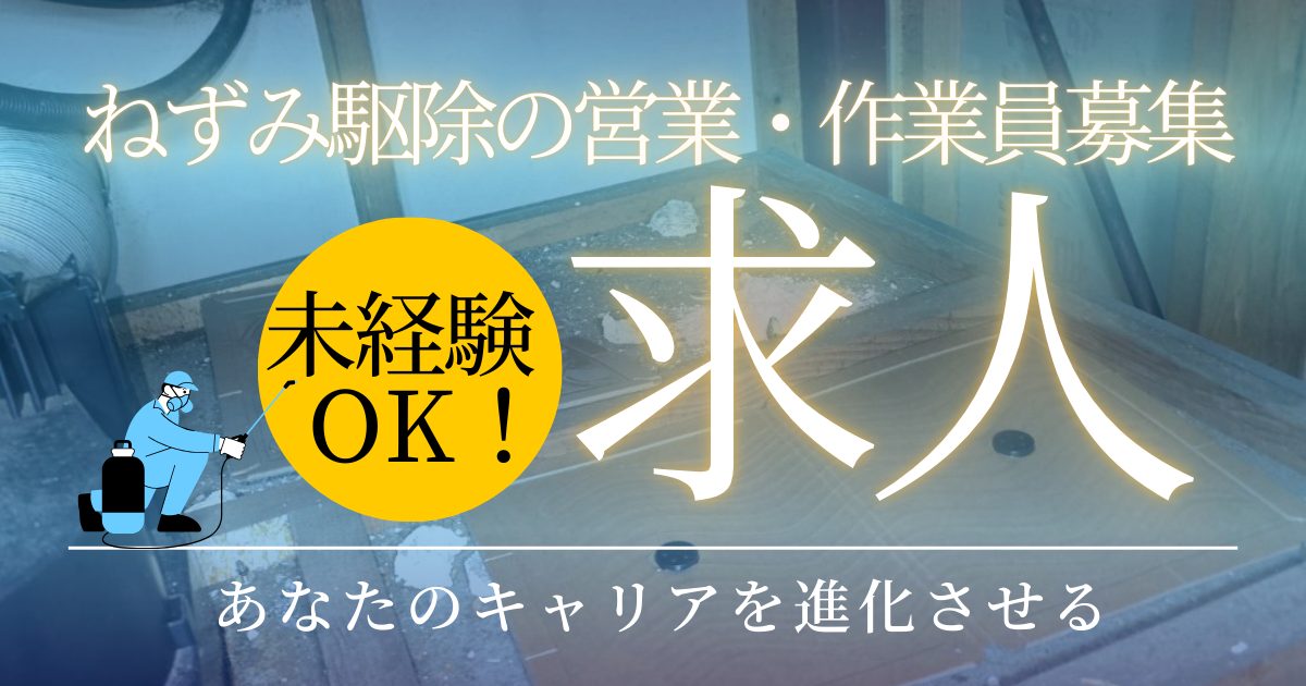 ねずみ駆除正社員募集